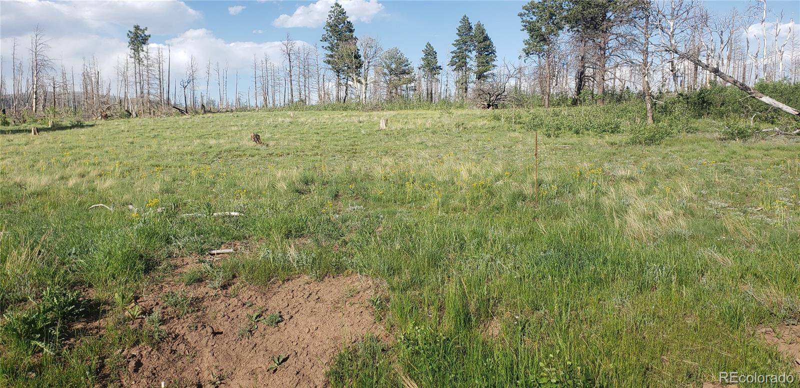 Lot 1406 Emery LOOP, Fort Garland, CO 81133