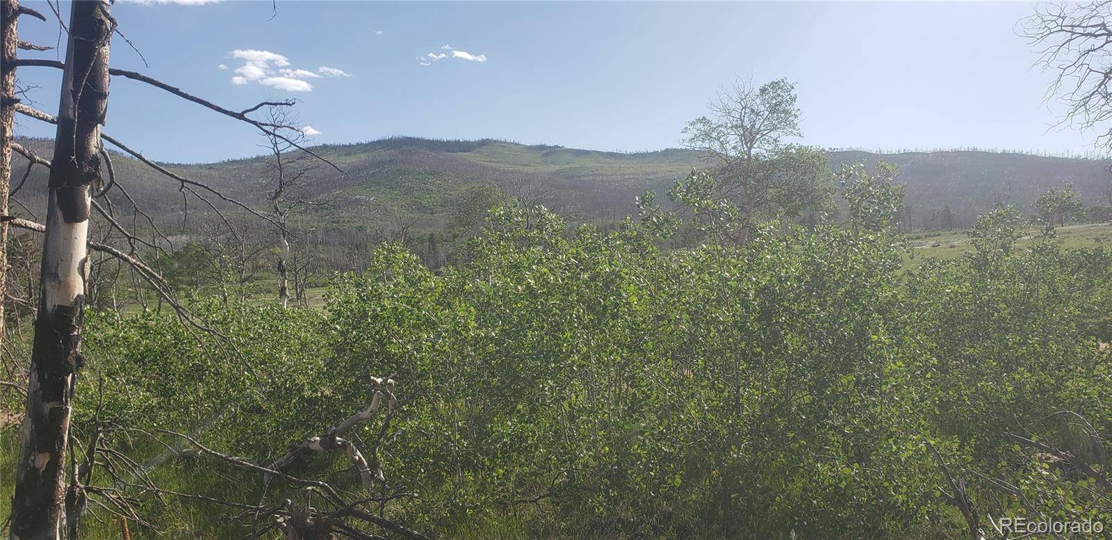 Lot 1406 Emery LOOP, Fort Garland, CO 81133