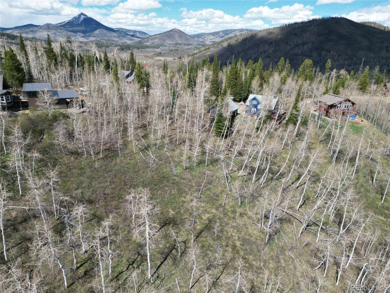 57960 Longfellow WAY, Clark, CO 80428