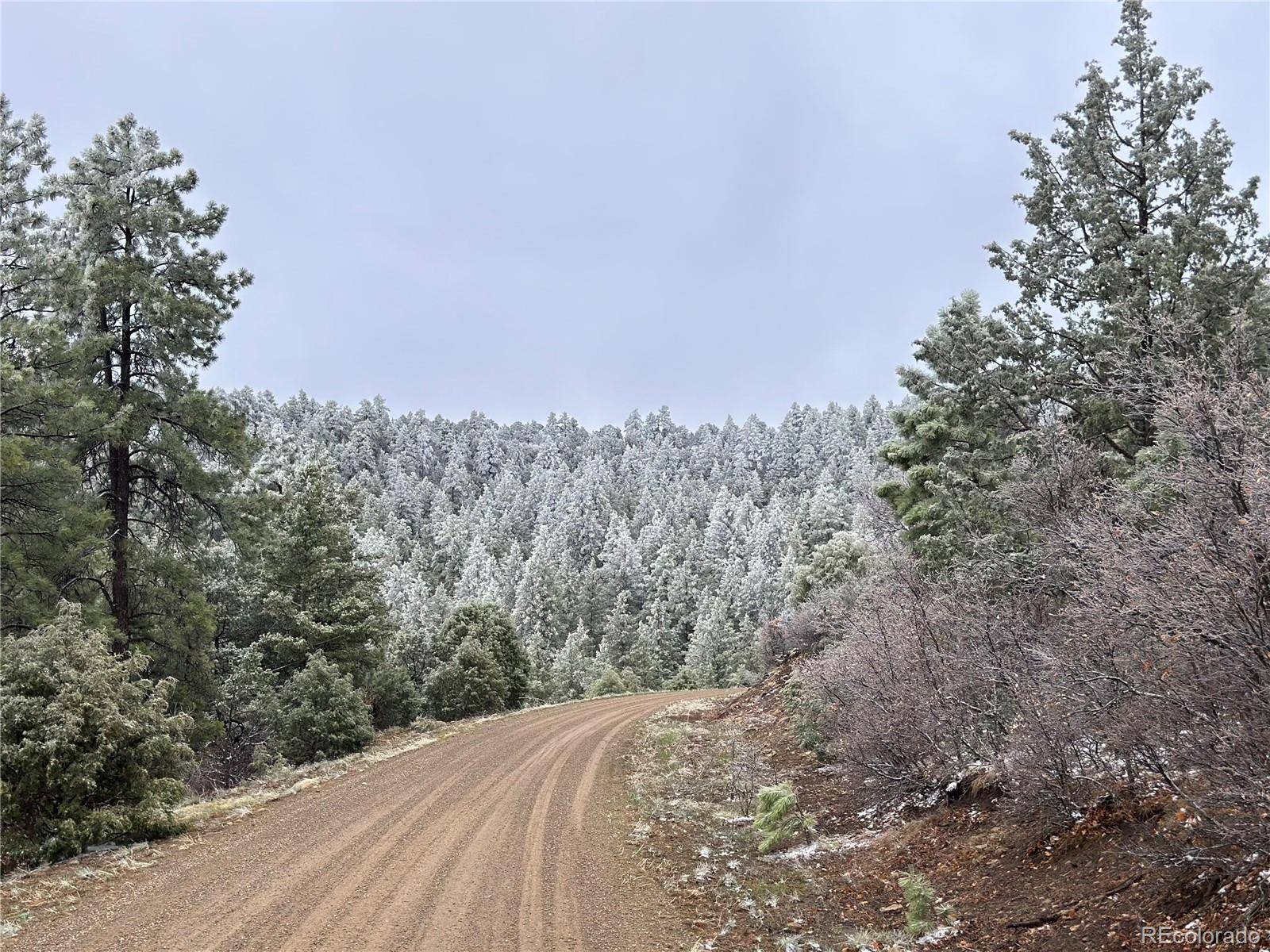 33280 Turkey Creek LN, Trinidad, CO 81082