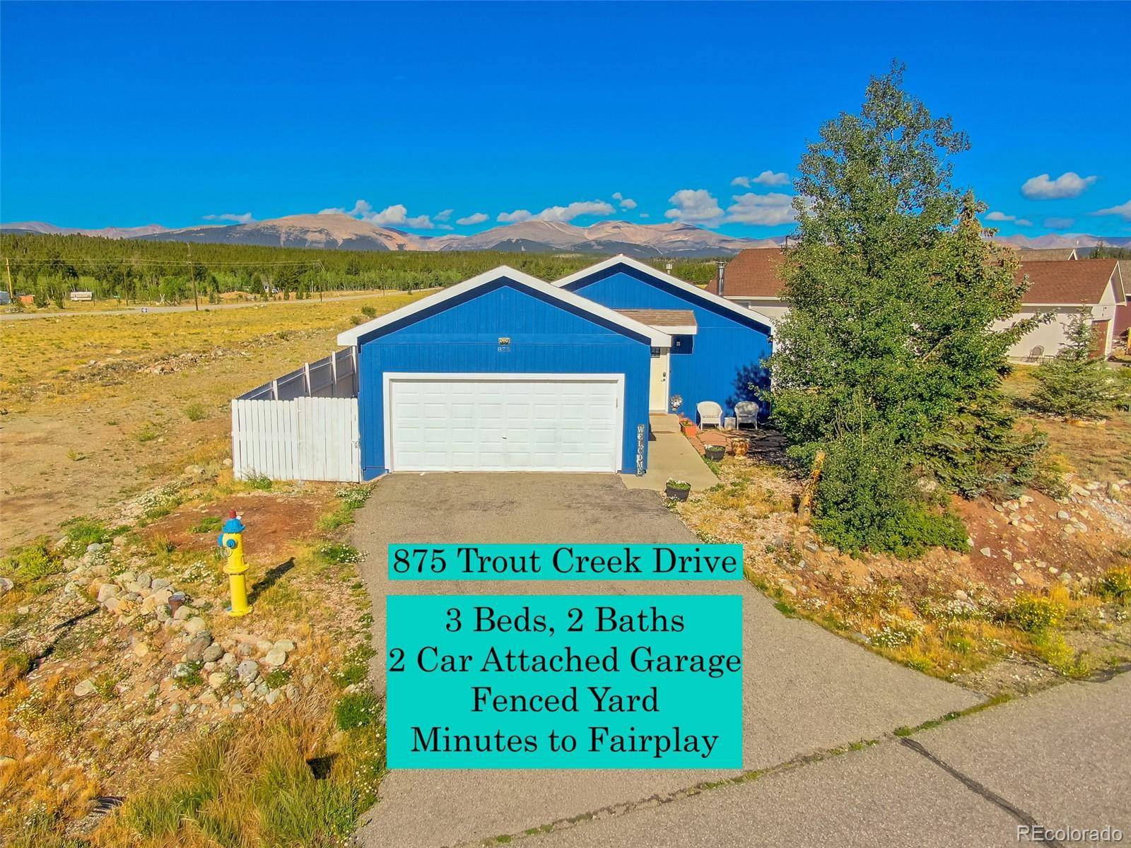 875 Trout Creek DR, Fairplay, CO 80440