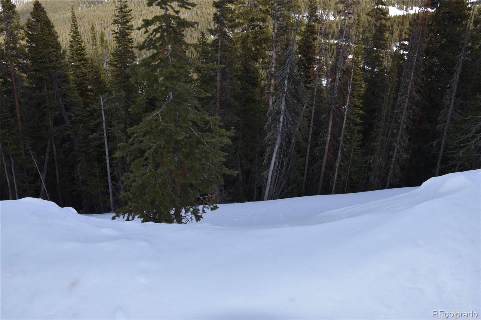404 Carroll LN, Breckenridge, CO 80424
