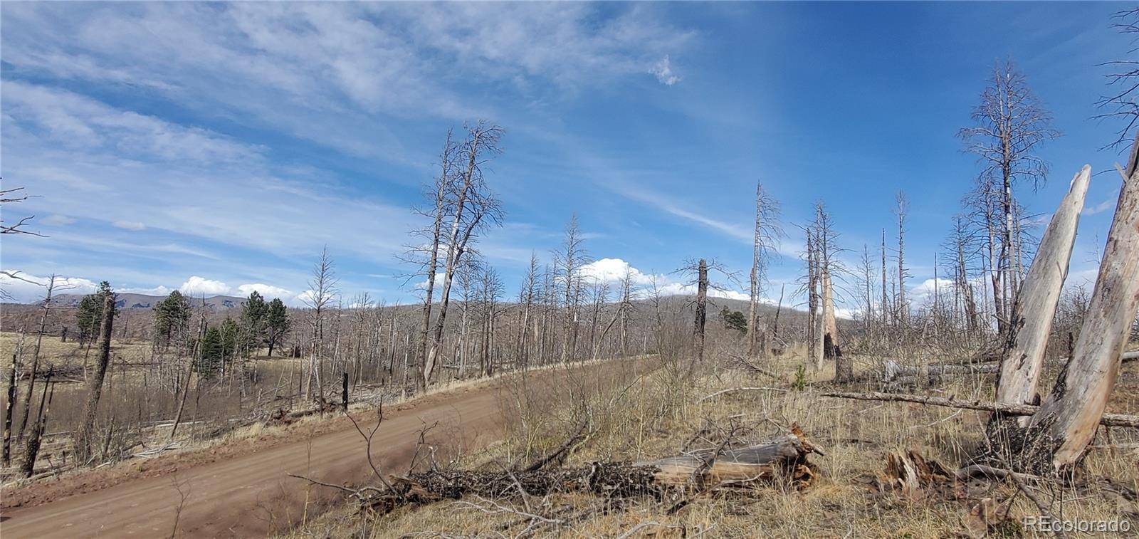 lot 1223 Emery LOOP, Fort Garland, CO 81133