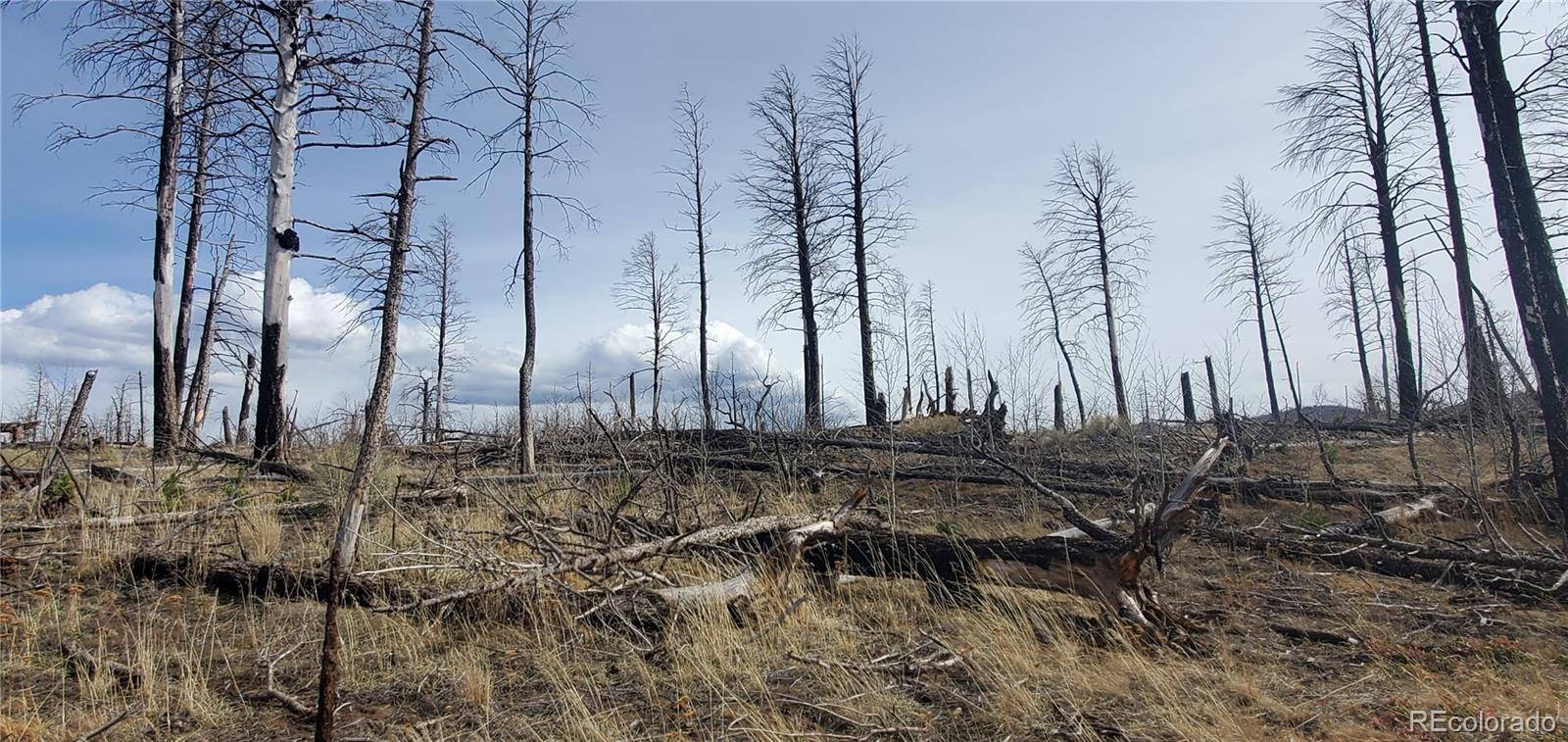 lot 1223 Emery LOOP, Fort Garland, CO 81133