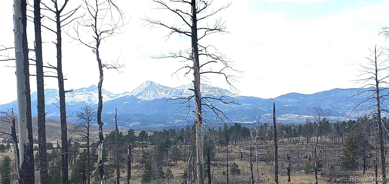 lot 1223 Emery LOOP, Fort Garland, CO 81133