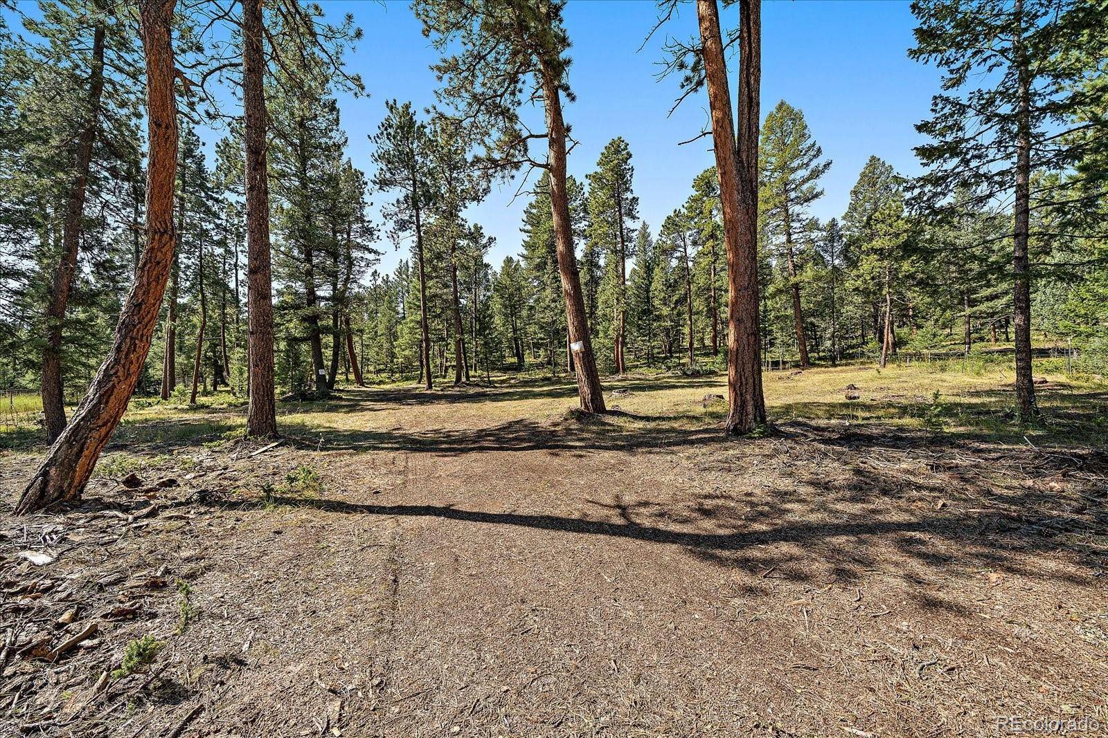 0 Evergreen DR, Conifer, CO 80433