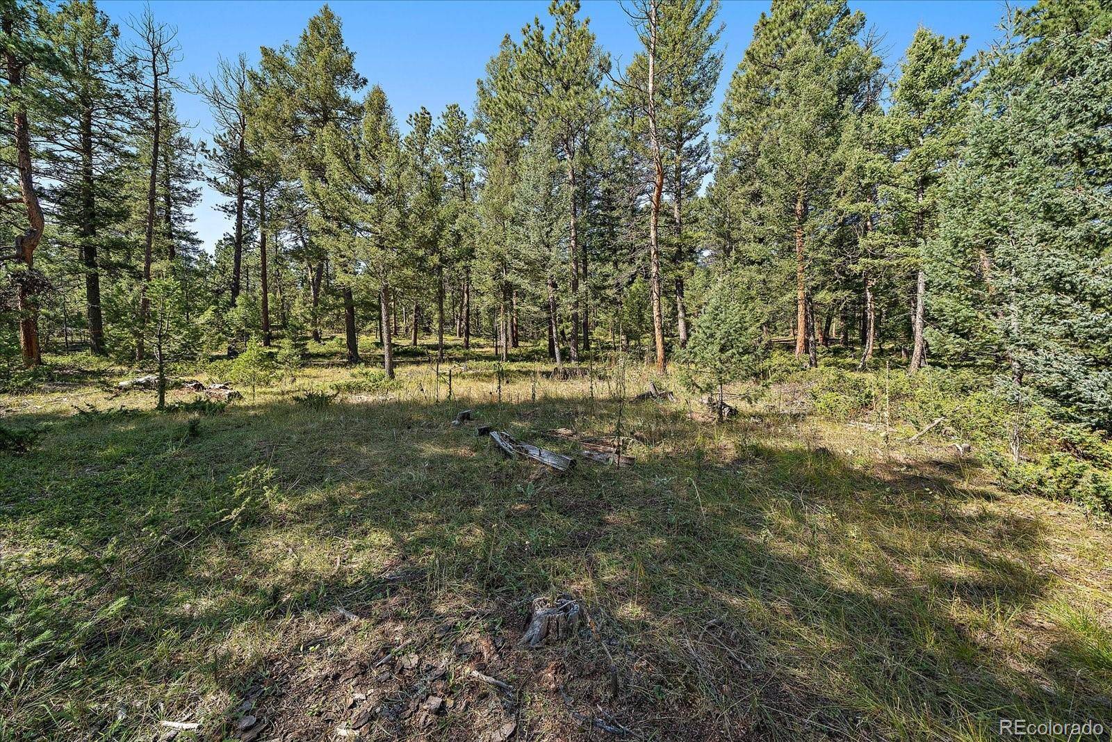 0 Evergreen DR, Conifer, CO 80433