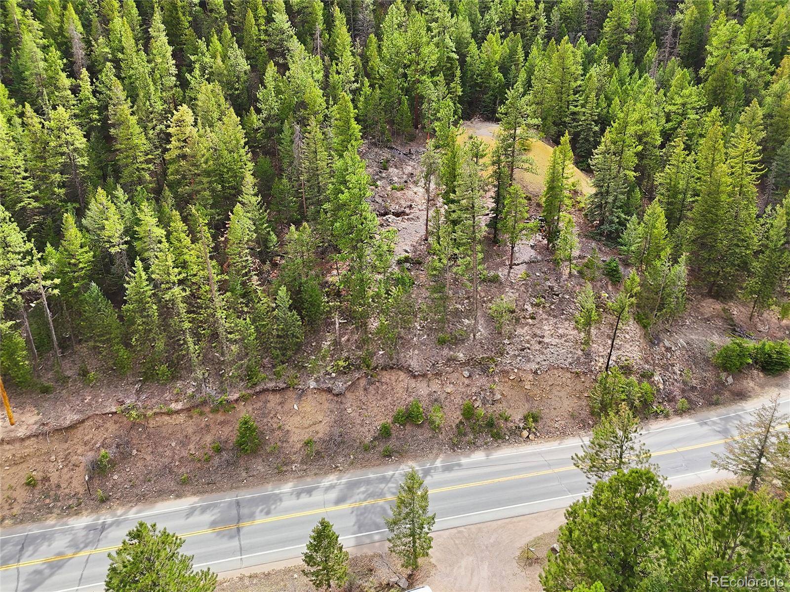 2238 Stanley RD, Idaho Springs, CO 80452