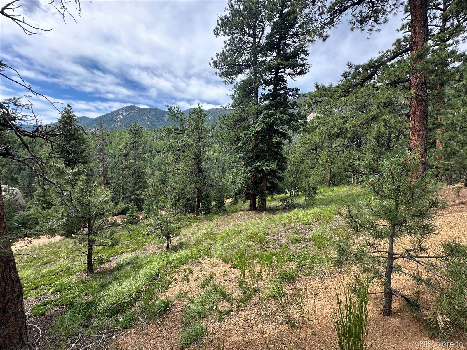 116 Happy Valley, Manitou Springs, CO 80829