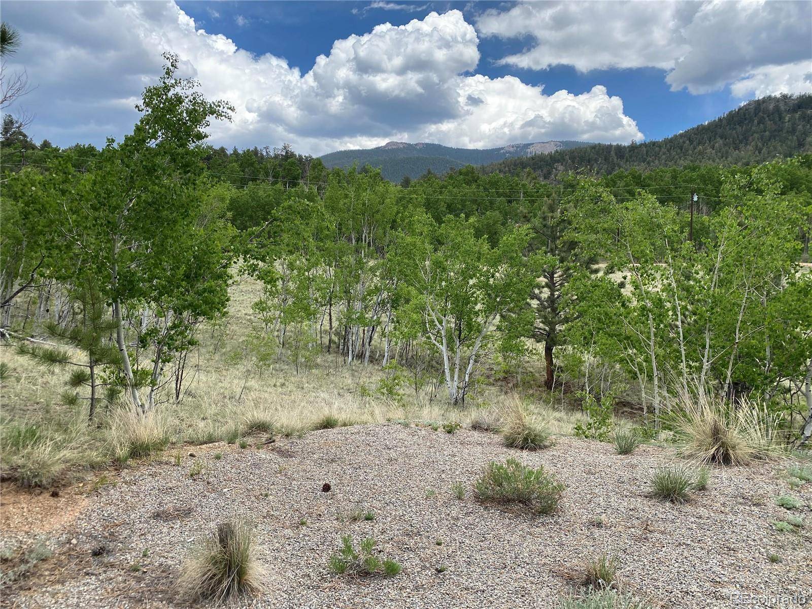 2071 Al Gulch RD, Jefferson, CO 80456