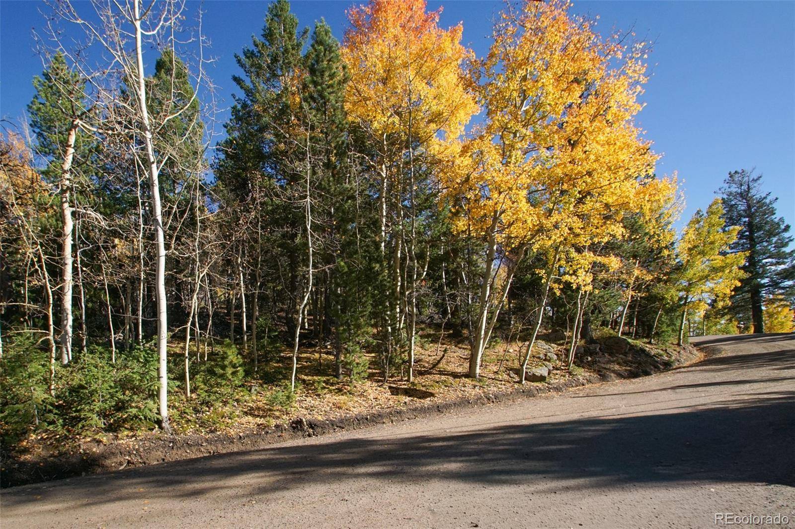11637 Leavenworth DR, Conifer, CO 80433