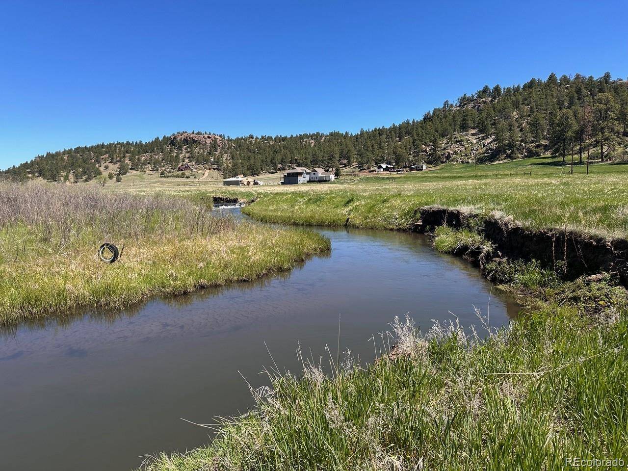 1840 Lakemoor DR, Florissant, CO 80816