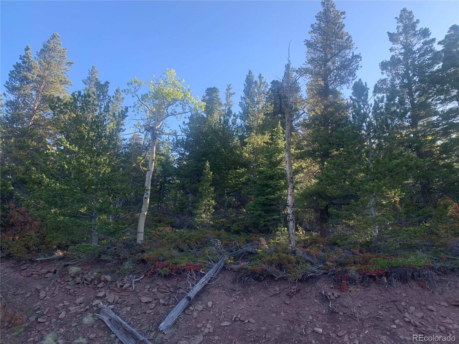 3207 VAUGHN LN, Fort Garland, CO 81133
