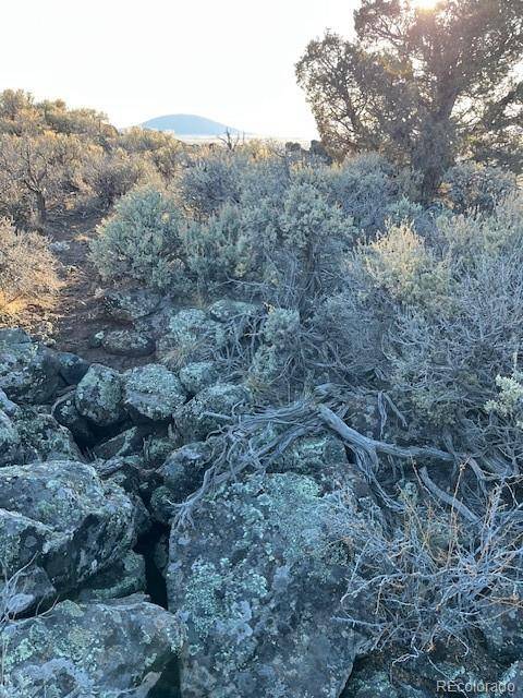 TBD Wildhorse Drive, San Luis, CO 81152