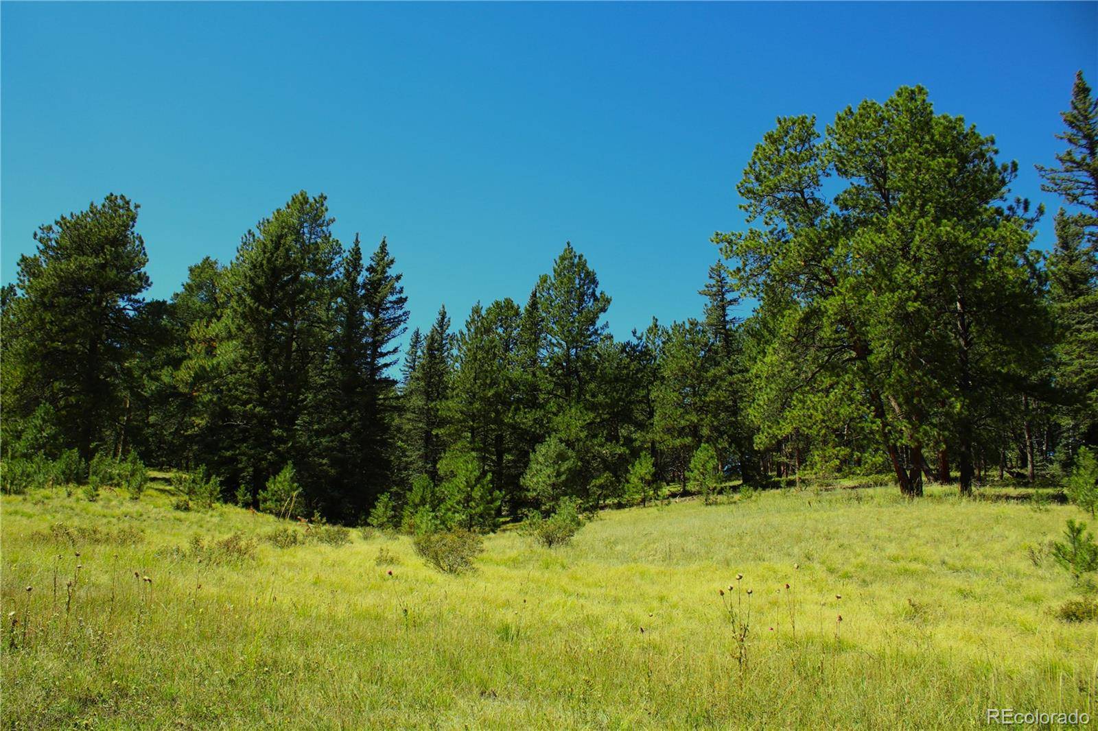 6500 CR 5, Divide, CO 80814