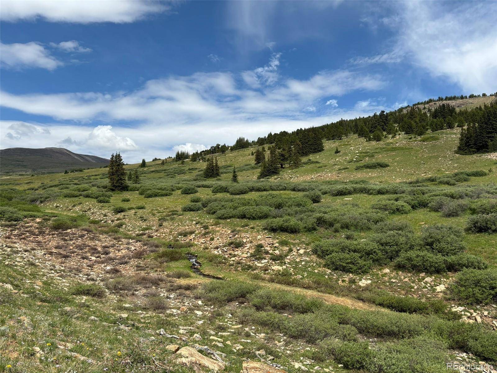 00 Alvin, Silver Cave, Little Ida, Fairplay, CO 80440