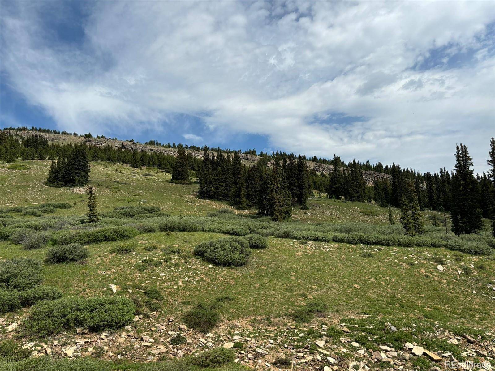 00 Alvin, Silver Cave, Little Ida, Fairplay, CO 80440