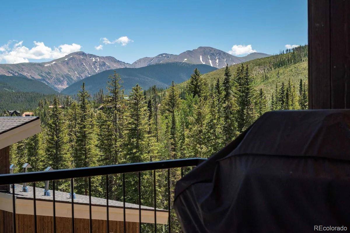 387 Bear TRL, Winter Park, CO 80482