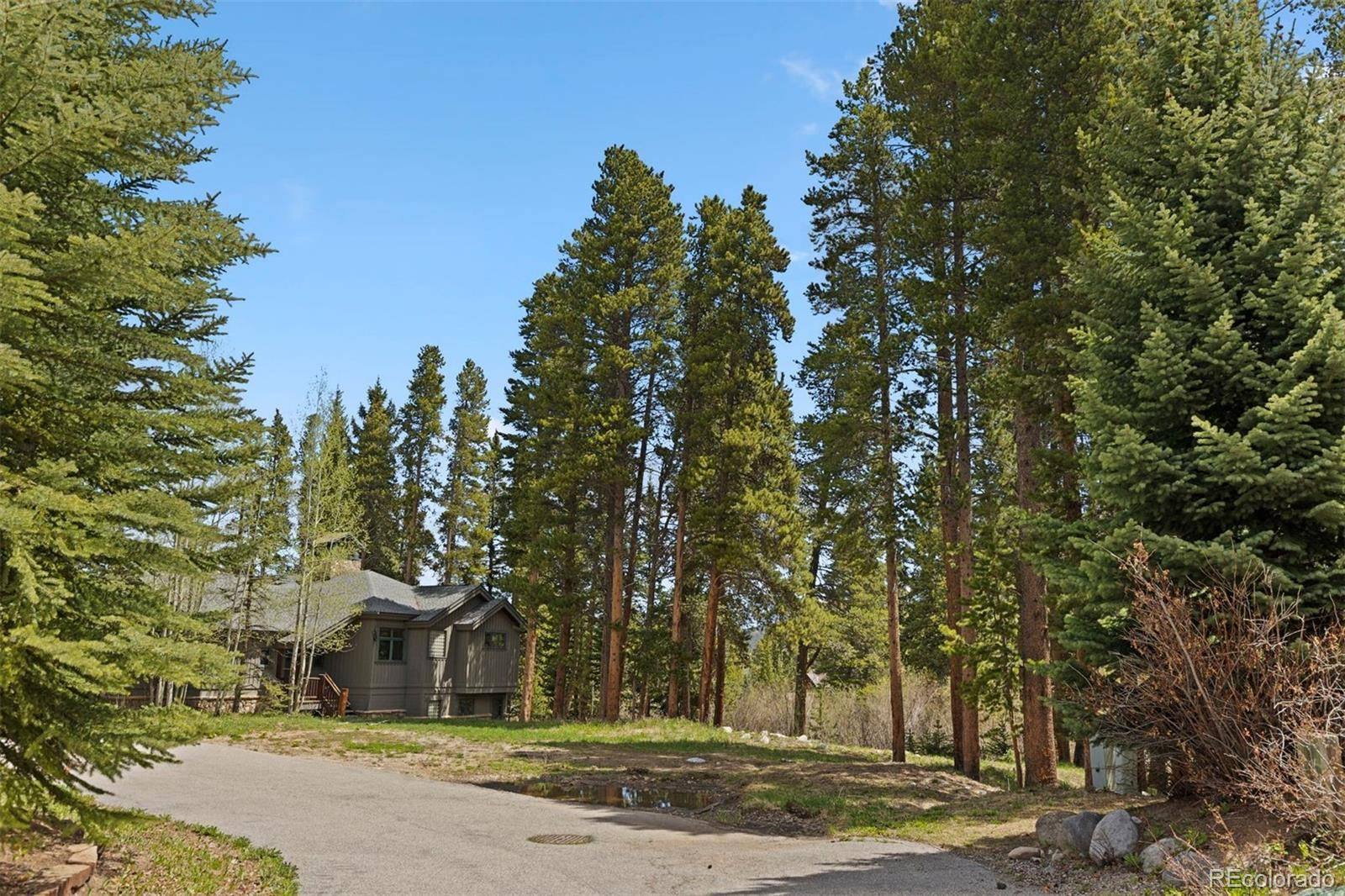 28 Tall Pines DR, Breckenridge, CO 80424