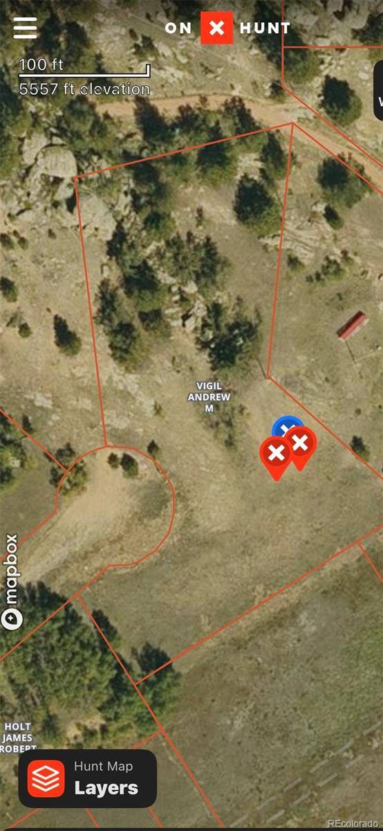 42 Osage PATH, Lake George, CO 80827