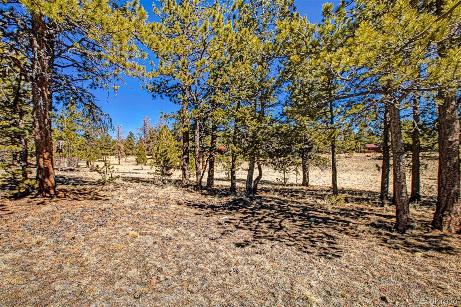 2226 Pitchfork RD, Hartsel, CO 80449