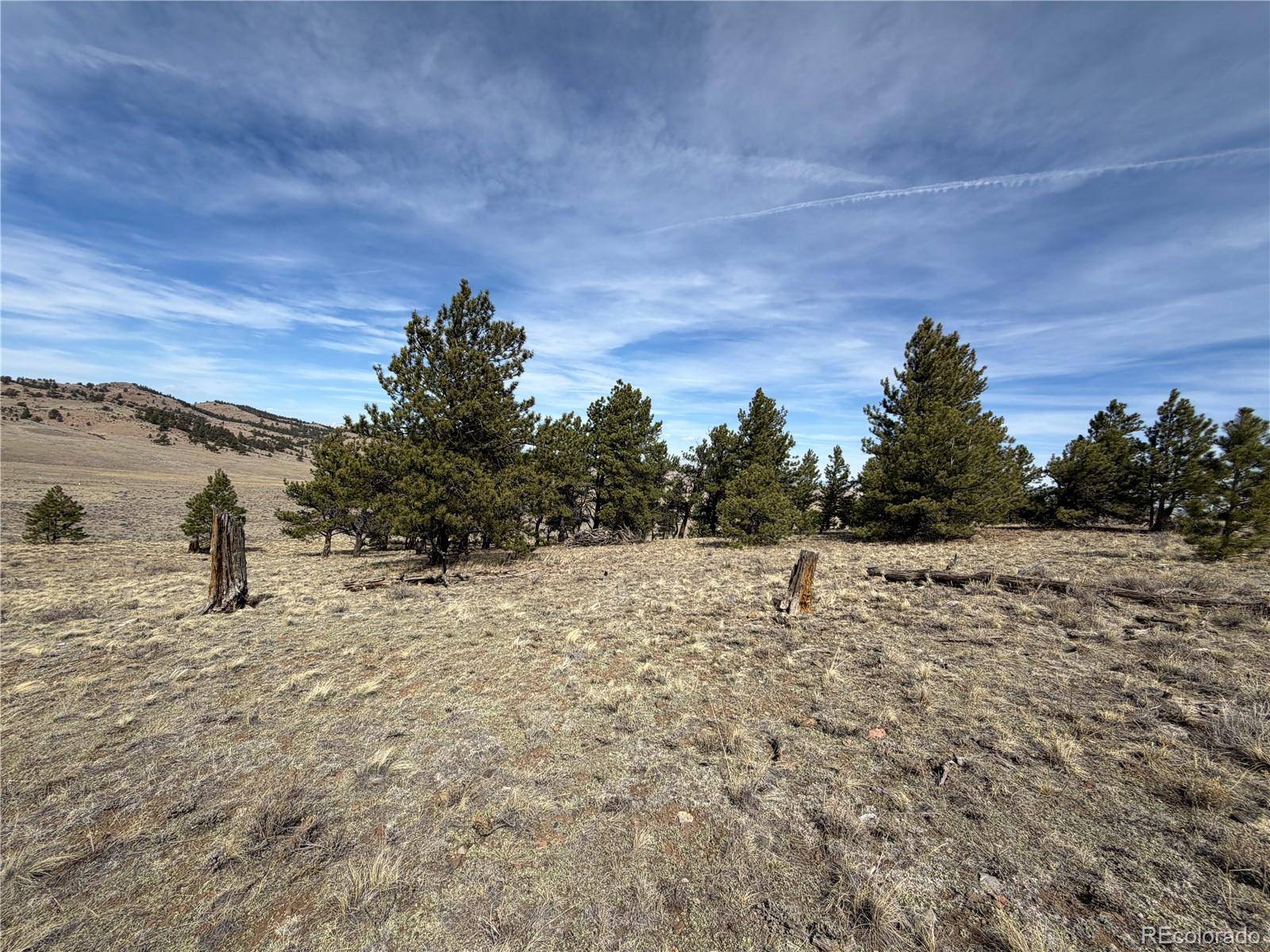990 Coyotero TRL, Hartsel, CO 80449