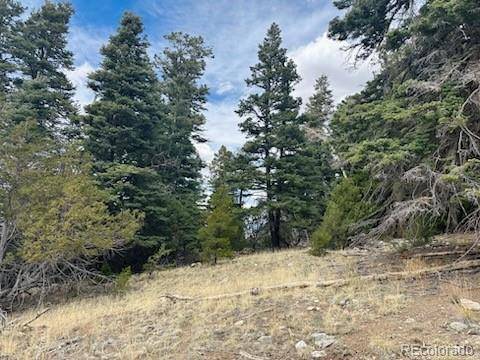 313 Arrastre RD, Mosca, CO 81146