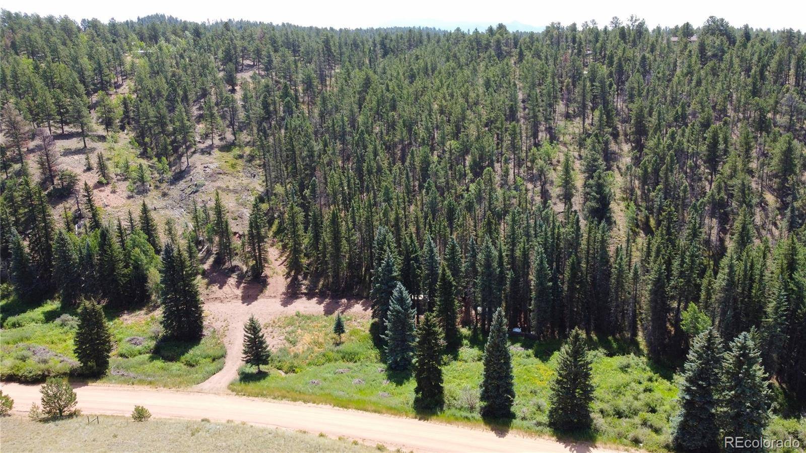1570 Pathfinder RD, Florissant, CO 80816