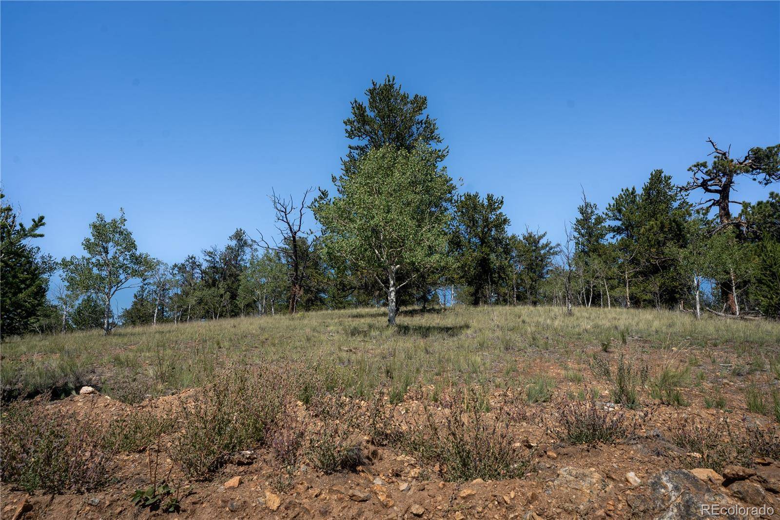 530 Gitche Goone LN, Como, CO 80432