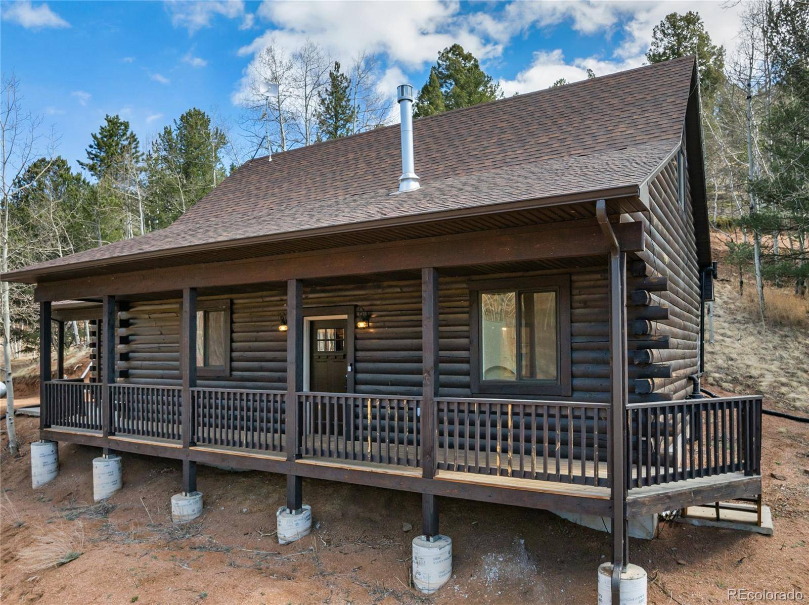 60 Beaver Pond RD, Divide, CO 80814