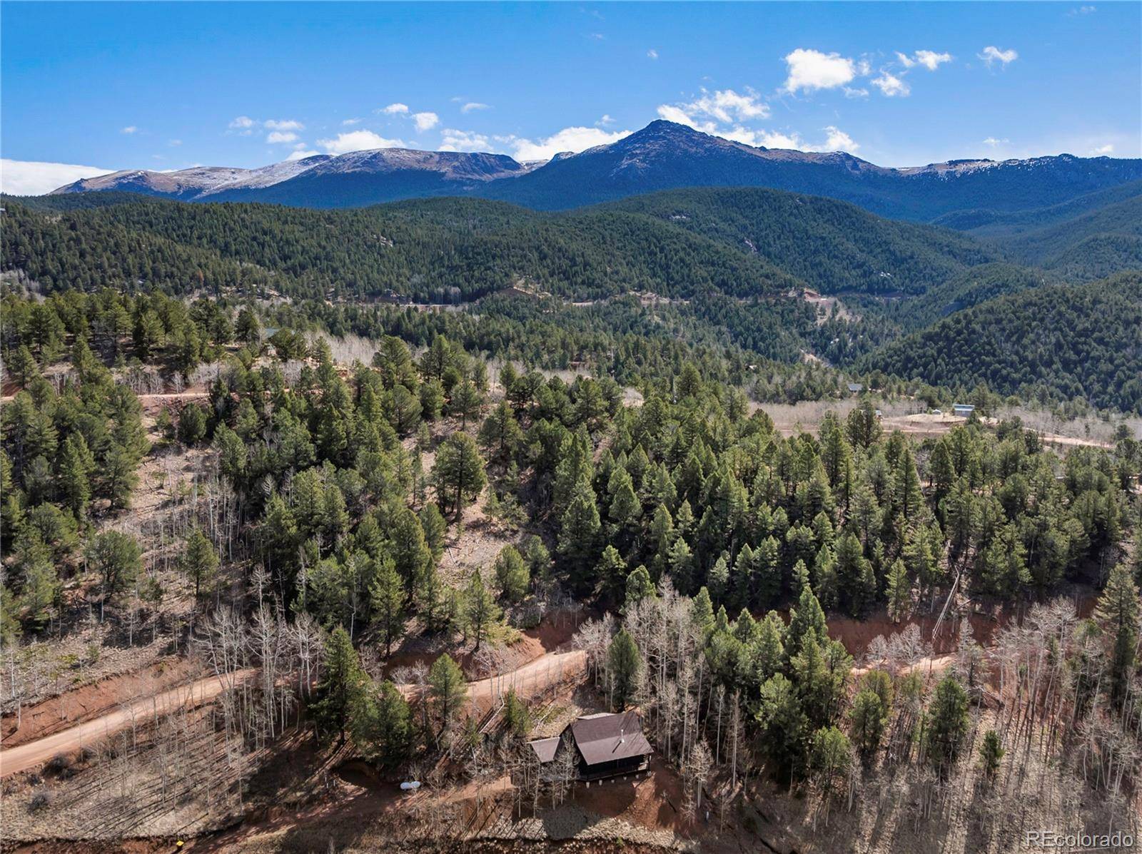 60 Beaver Pond RD, Divide, CO 80814