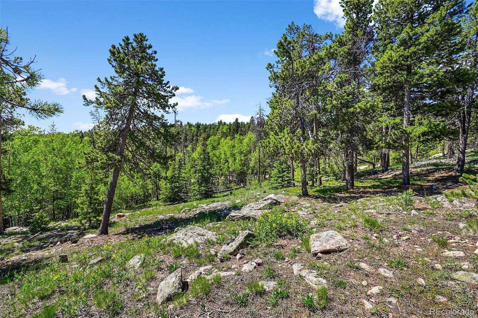 900 Rudi LN, Golden, CO 80403