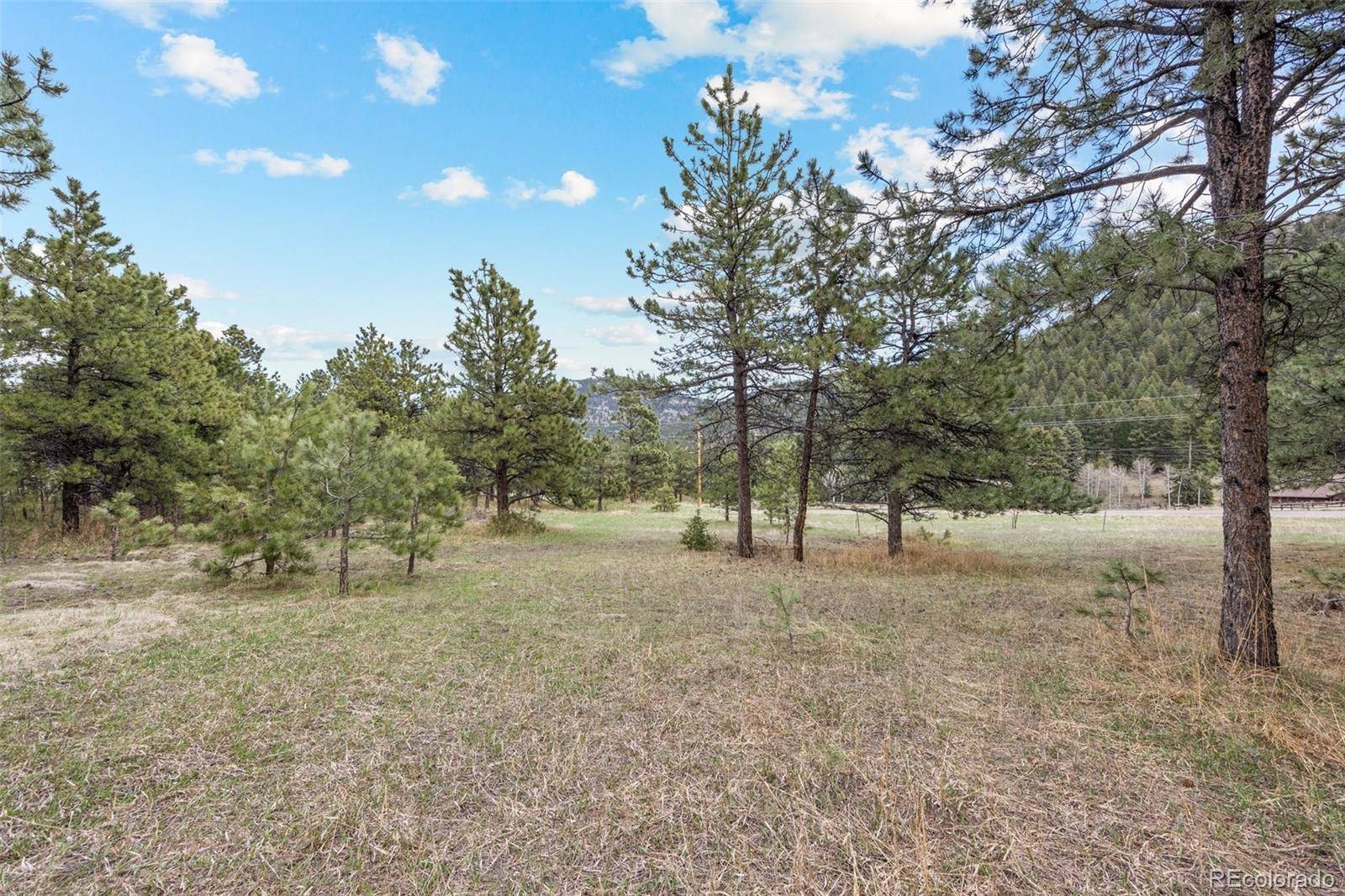 6068 S Skyline DR, Evergreen, CO 80439