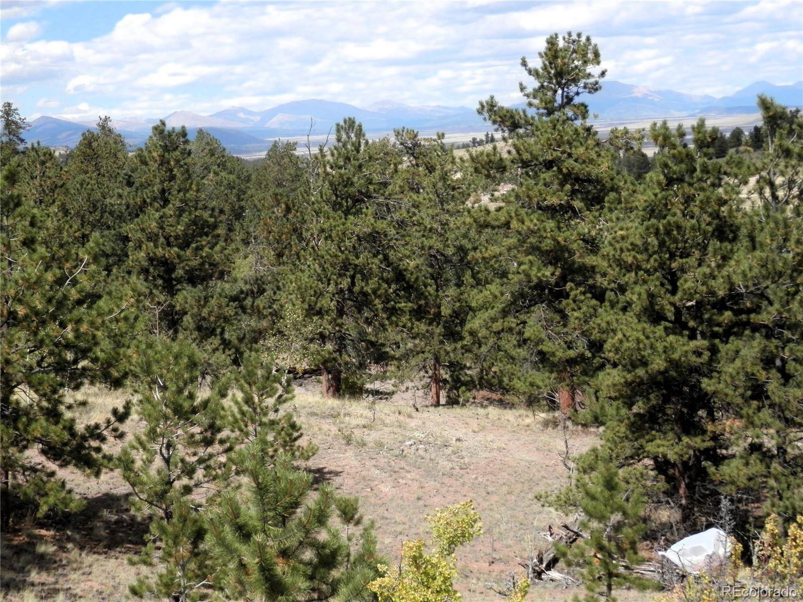 99 Pack Saddle CT, Hartsel, CO 80449