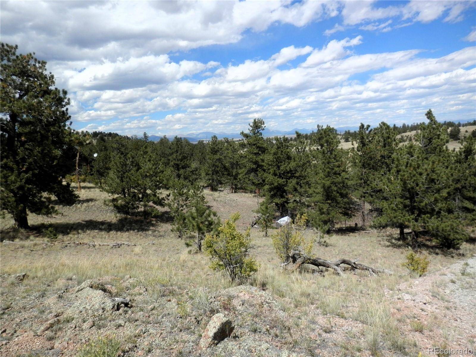 99 Pack Saddle CT, Hartsel, CO 80449
