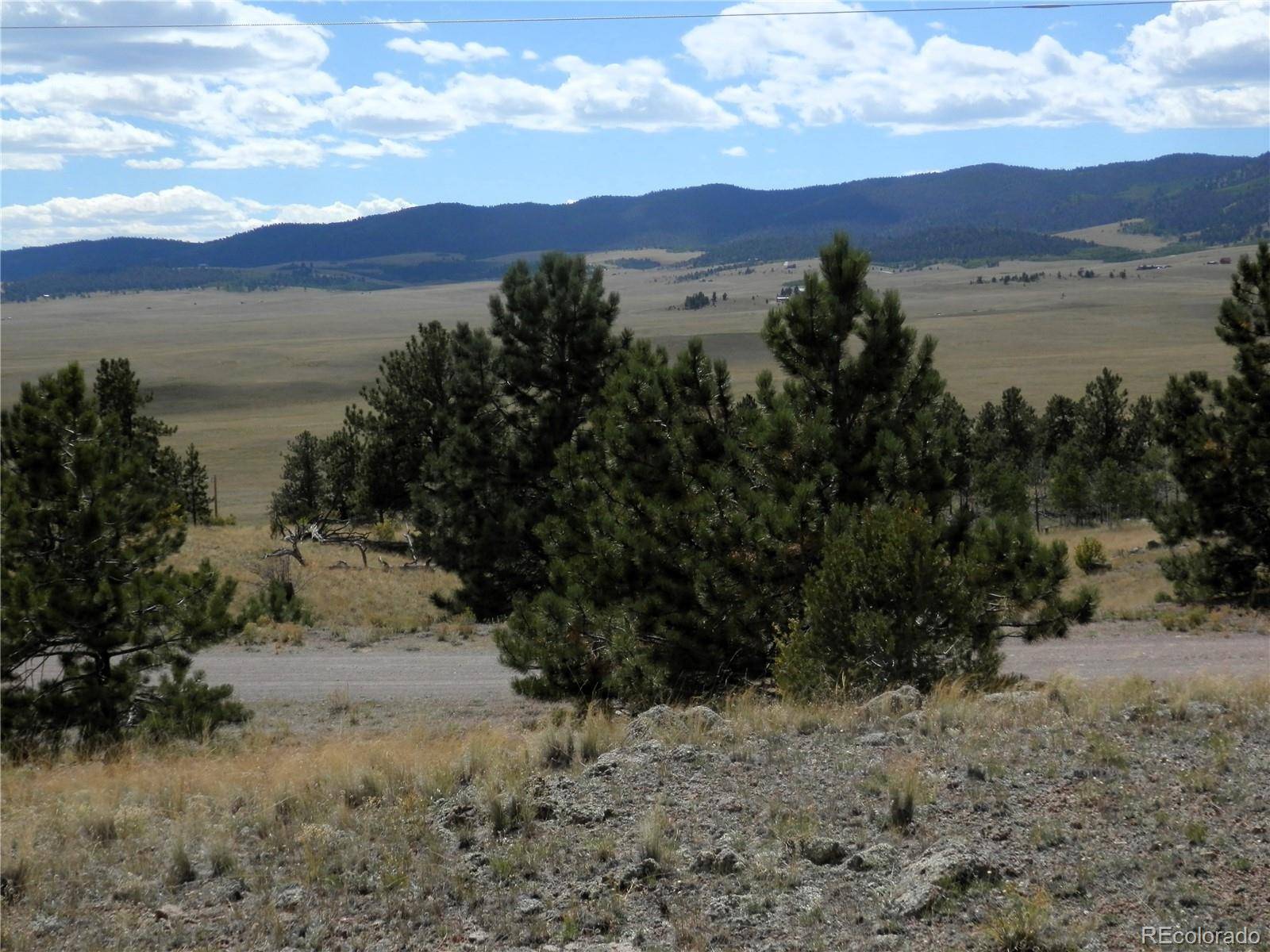99 Pack Saddle CT, Hartsel, CO 80449