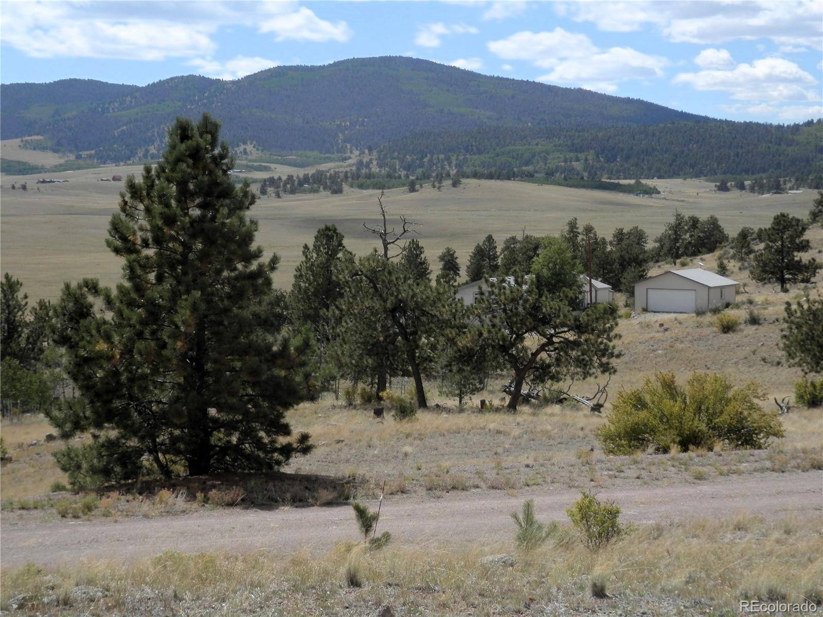 99 Pack Saddle CT, Hartsel, CO 80449