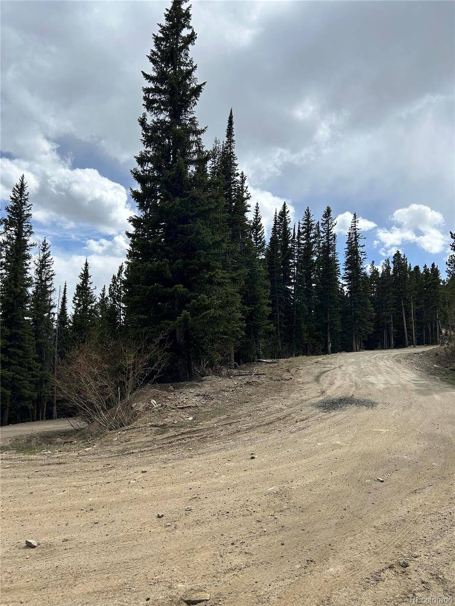 Texas CIR, Idaho Springs, CO 80452
