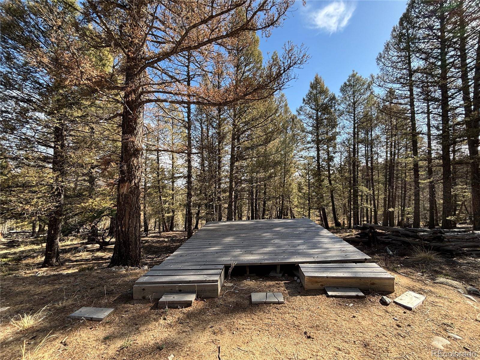 1980 Pitchfork RD, Hartsel, CO 80449