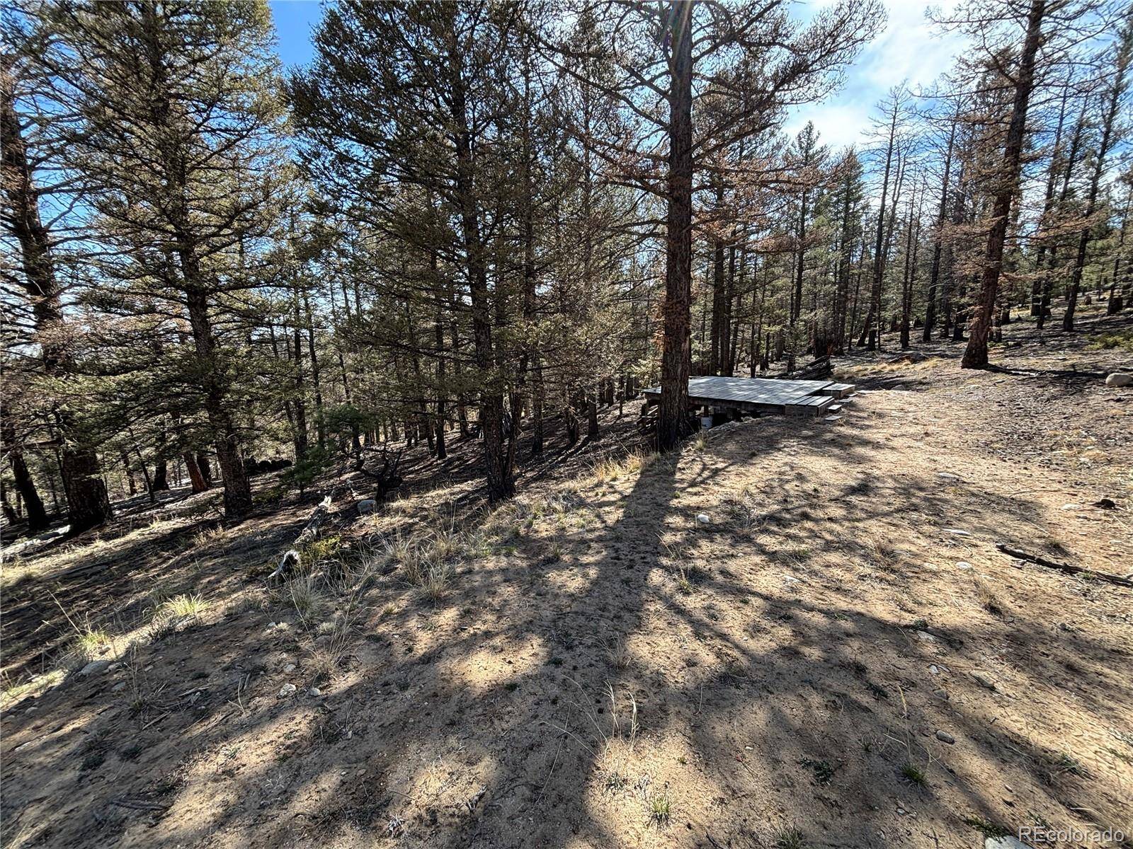 1980 Pitchfork RD, Hartsel, CO 80449