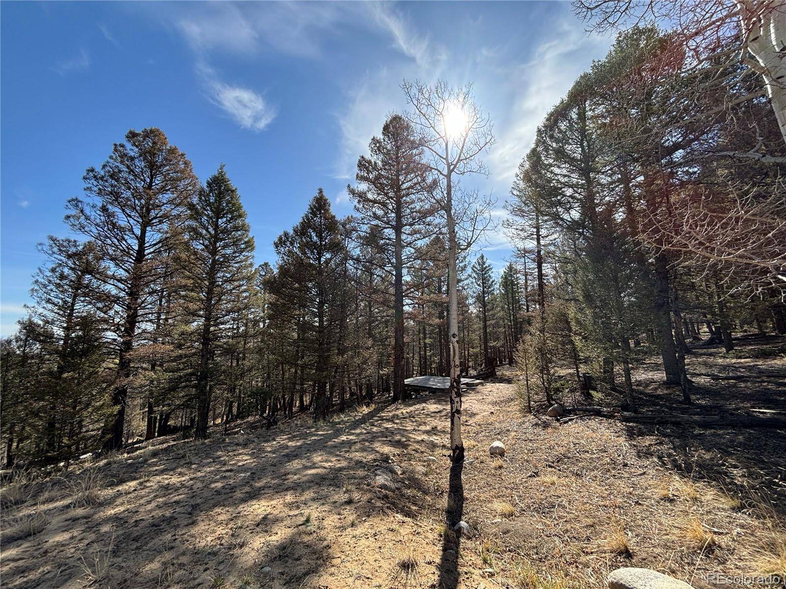 1980 Pitchfork RD, Hartsel, CO 80449