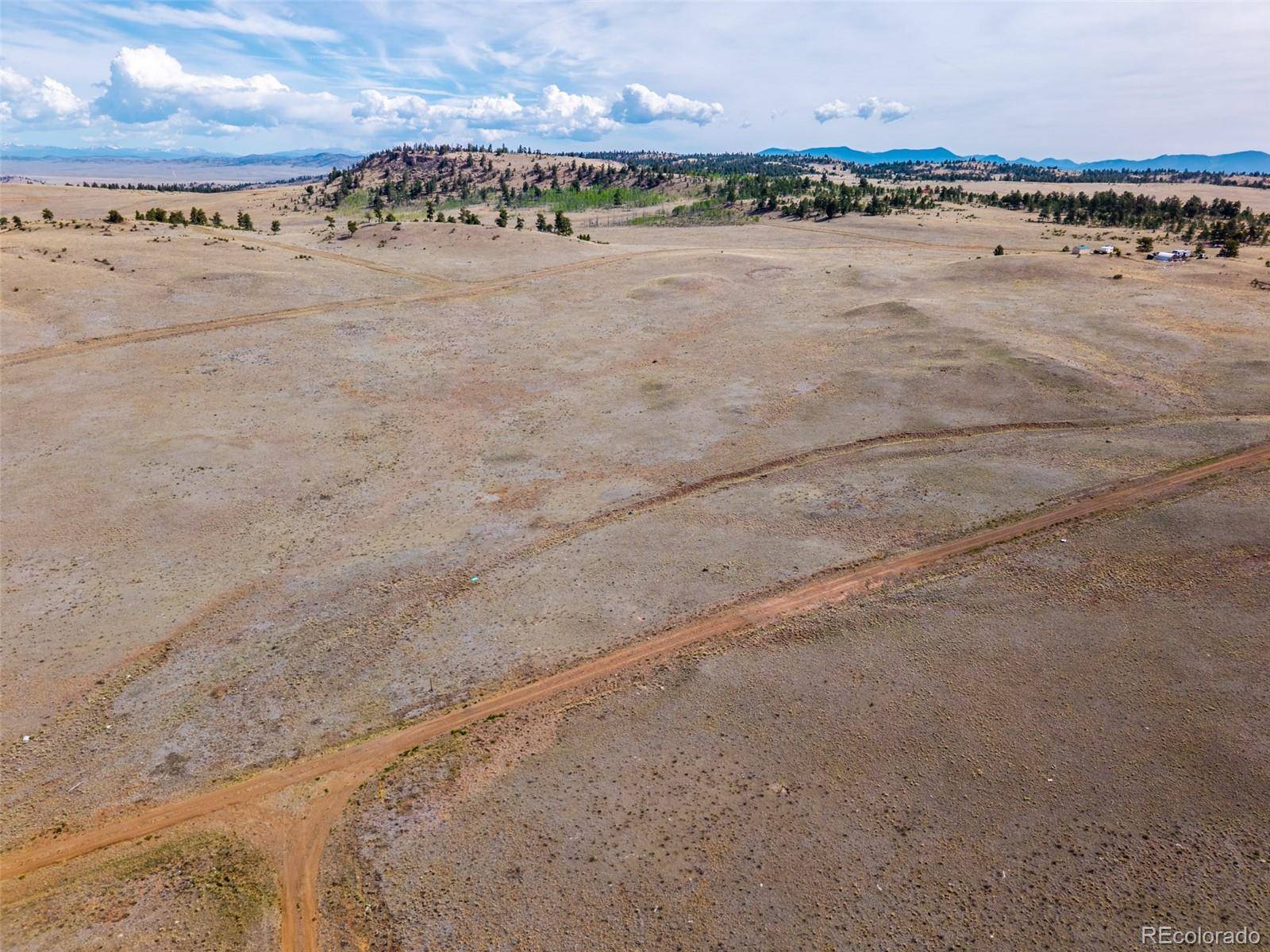 4429 Shawnee TRL, Hartsel, CO 80449
