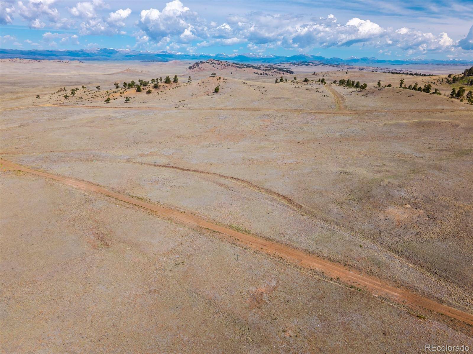4429 Shawnee TRL, Hartsel, CO 80449