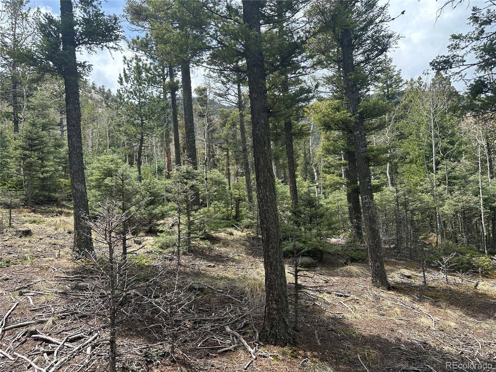 357 Big Horn, Manitou Springs, CO 80829
