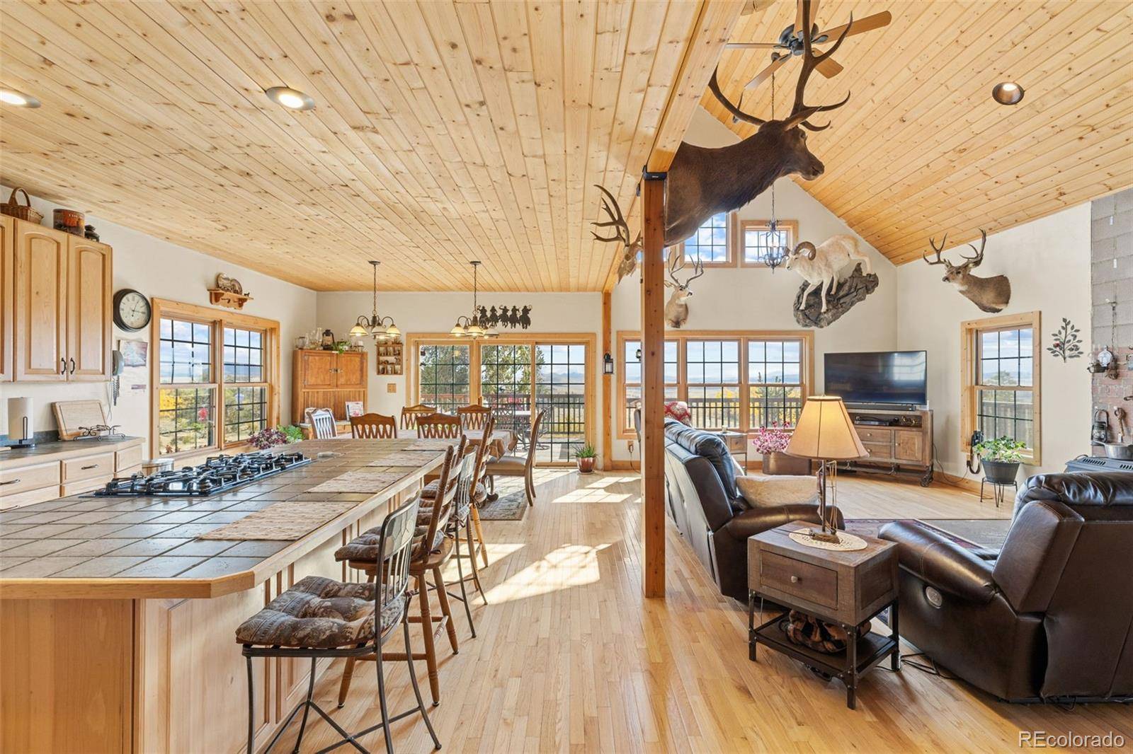 76 No Place RD, Hartsel, CO 80449