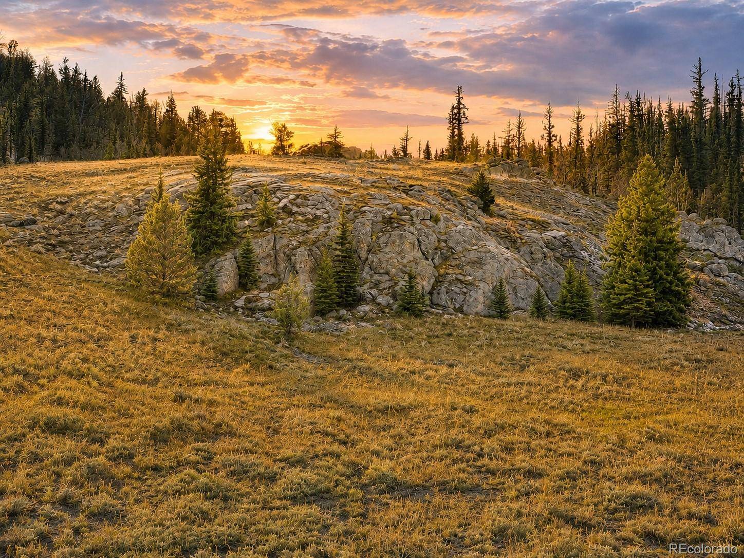 2017 Travois RD, Jefferson, CO 80456
