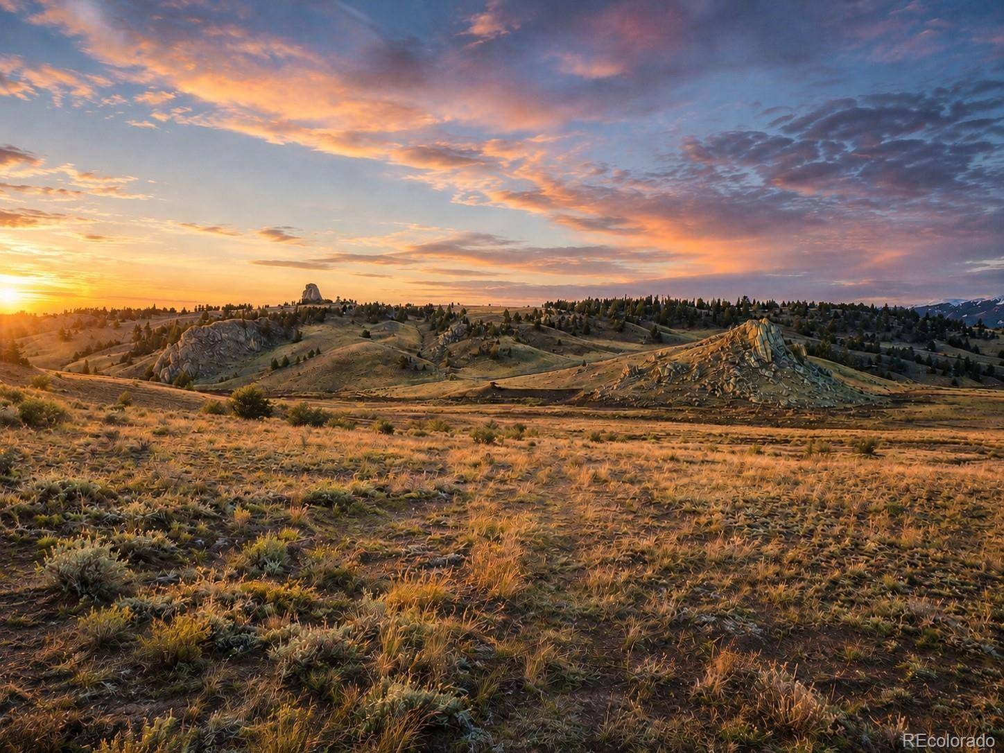 2017 Travois RD, Jefferson, CO 80456