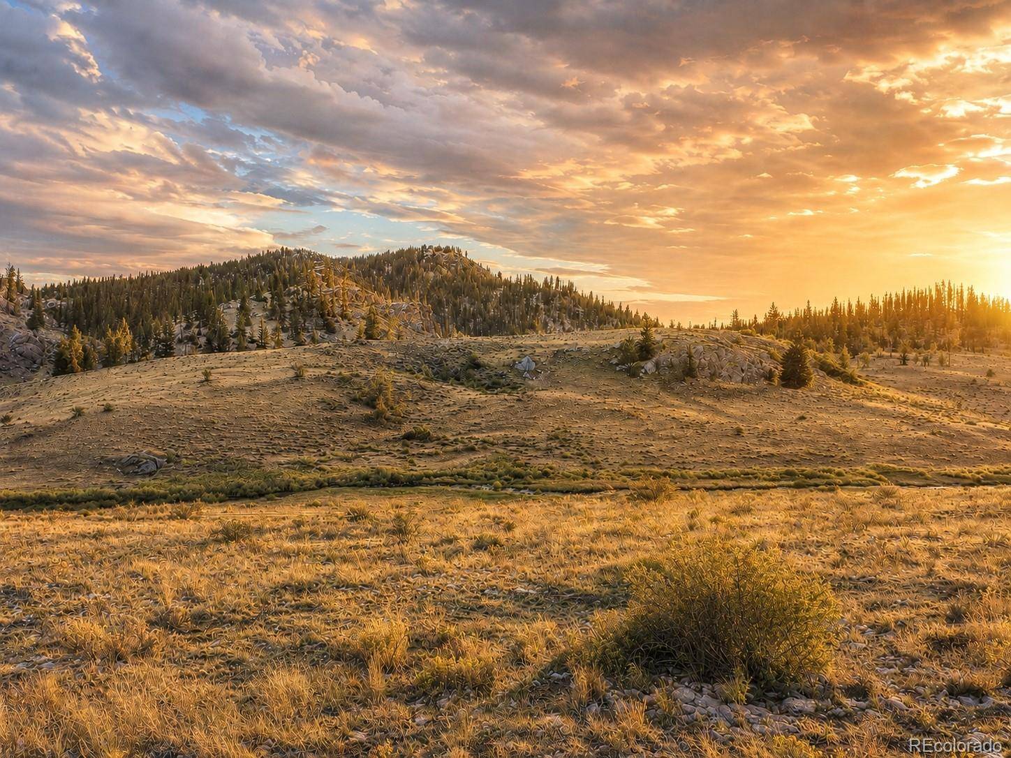 2017 Travois RD, Jefferson, CO 80456