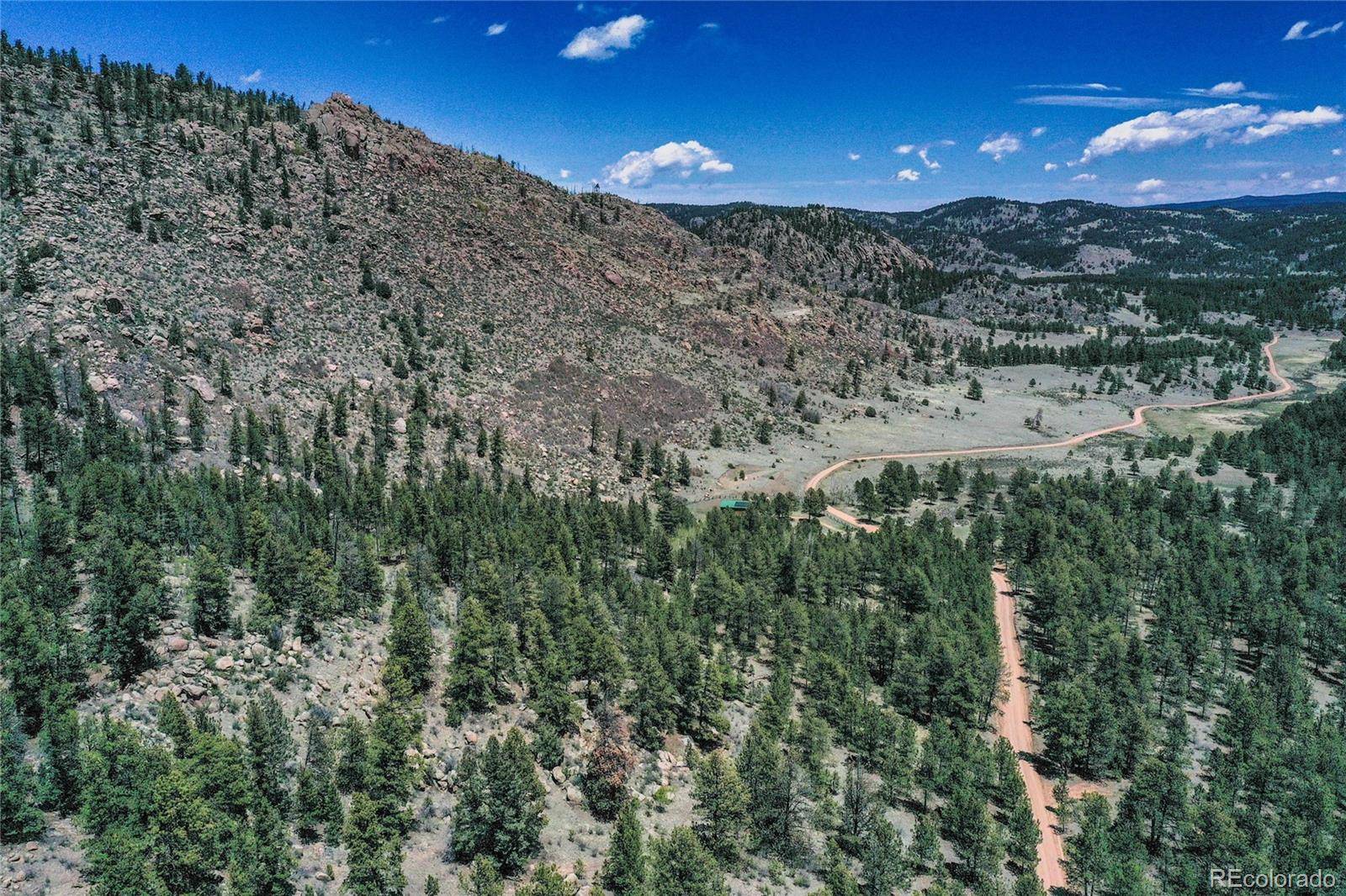 437 Langnis RD, Guffey, CO 80820