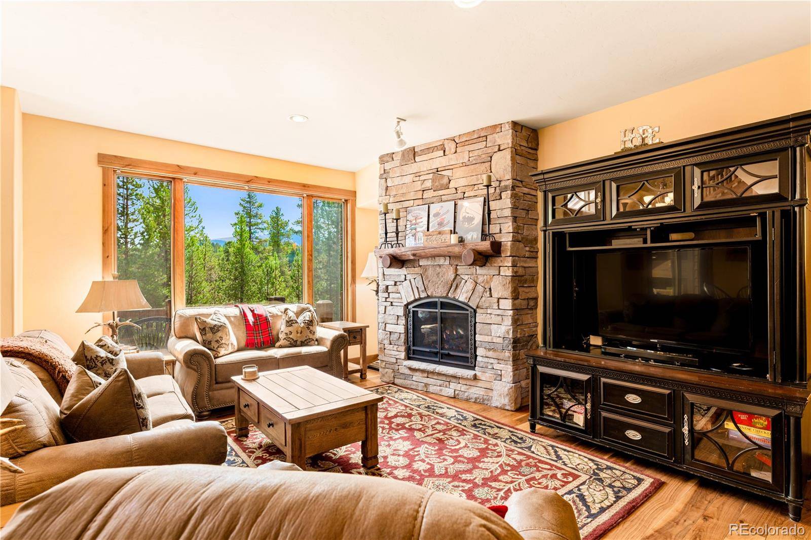 91 Snowshoe CIR, Breckenridge, CO 80424